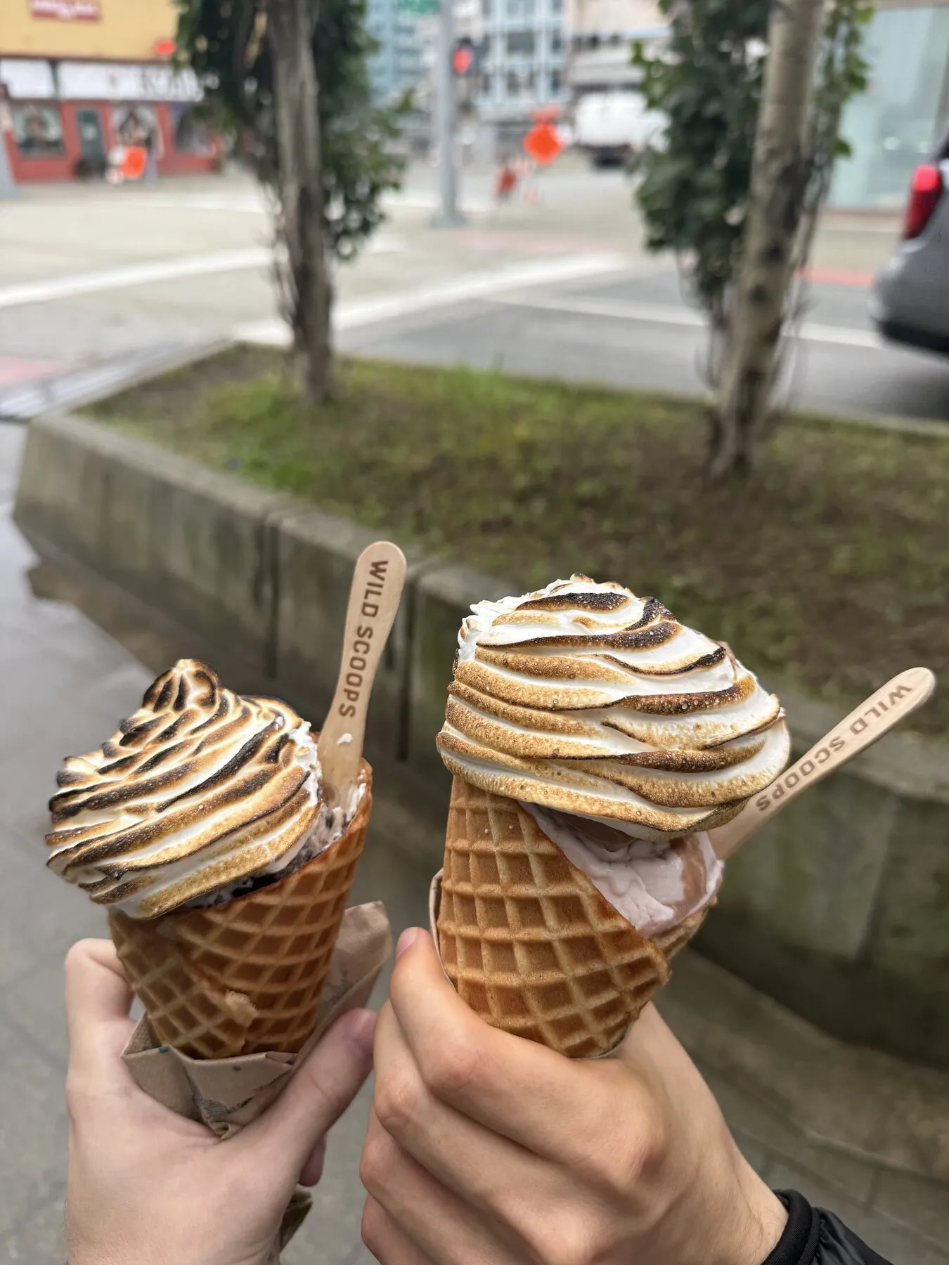 Two ice cream cones with tall, toasted swirls on top