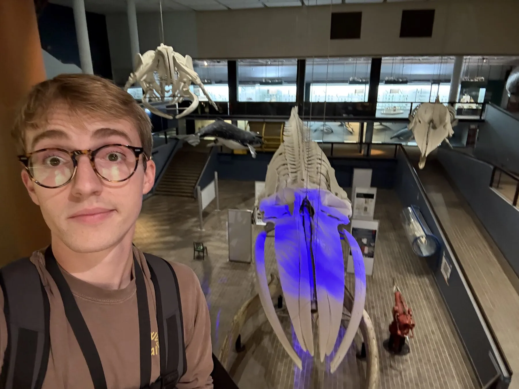Grant inside the museum beside a large skeleton on display