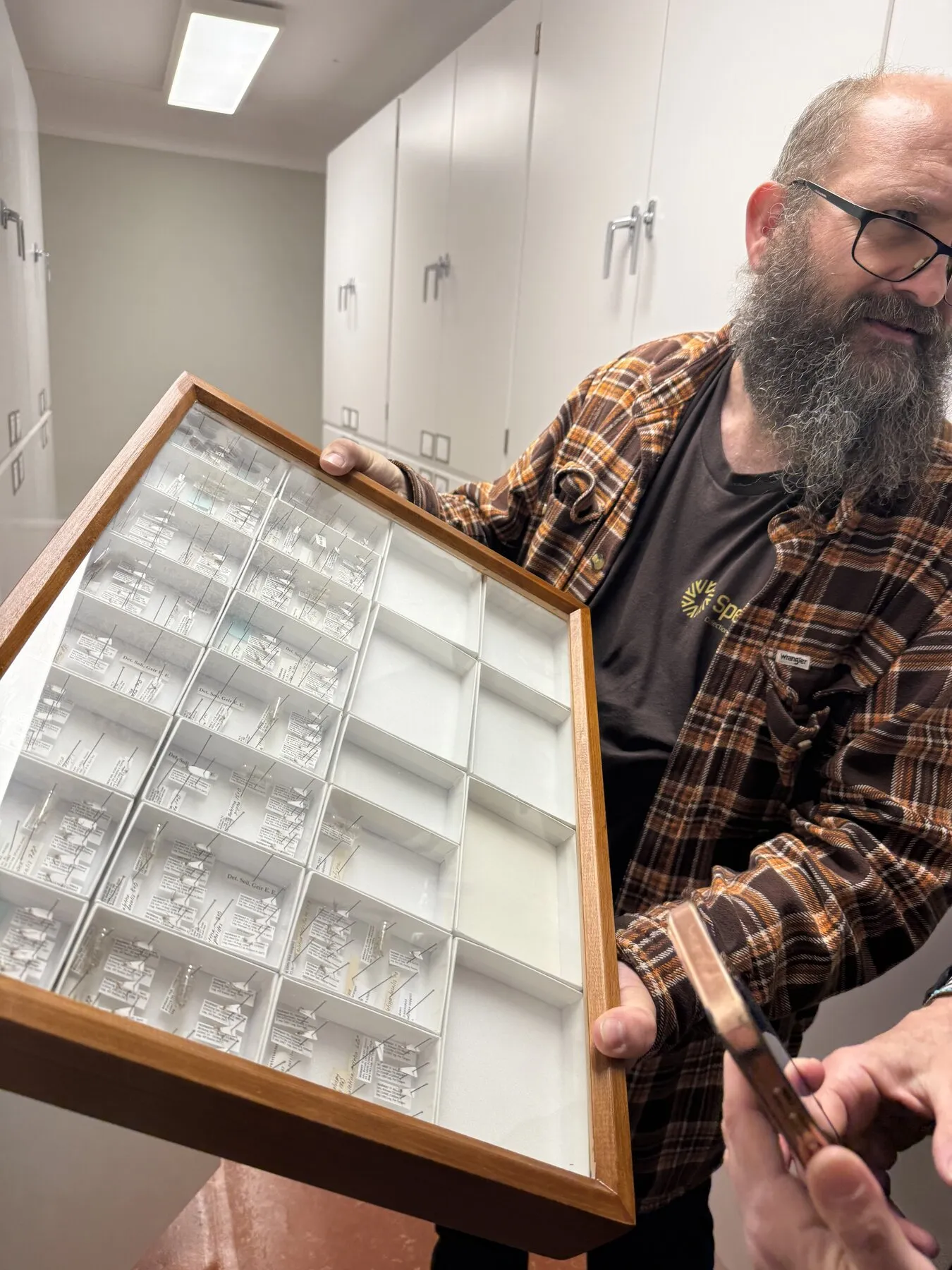 A colleague showing a tray of small specimens during a collection visit