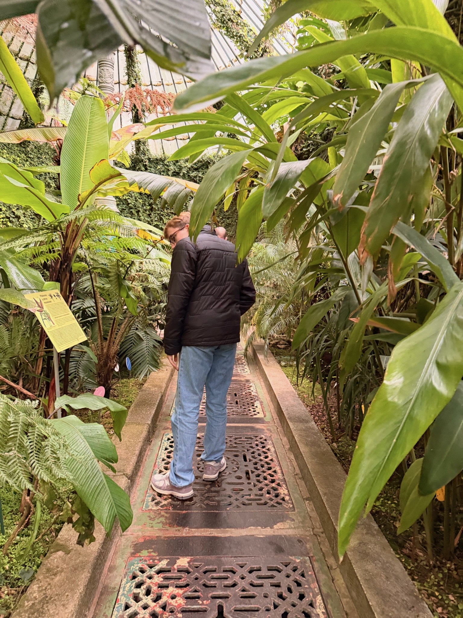 Visiting the Real Jardín Botánico