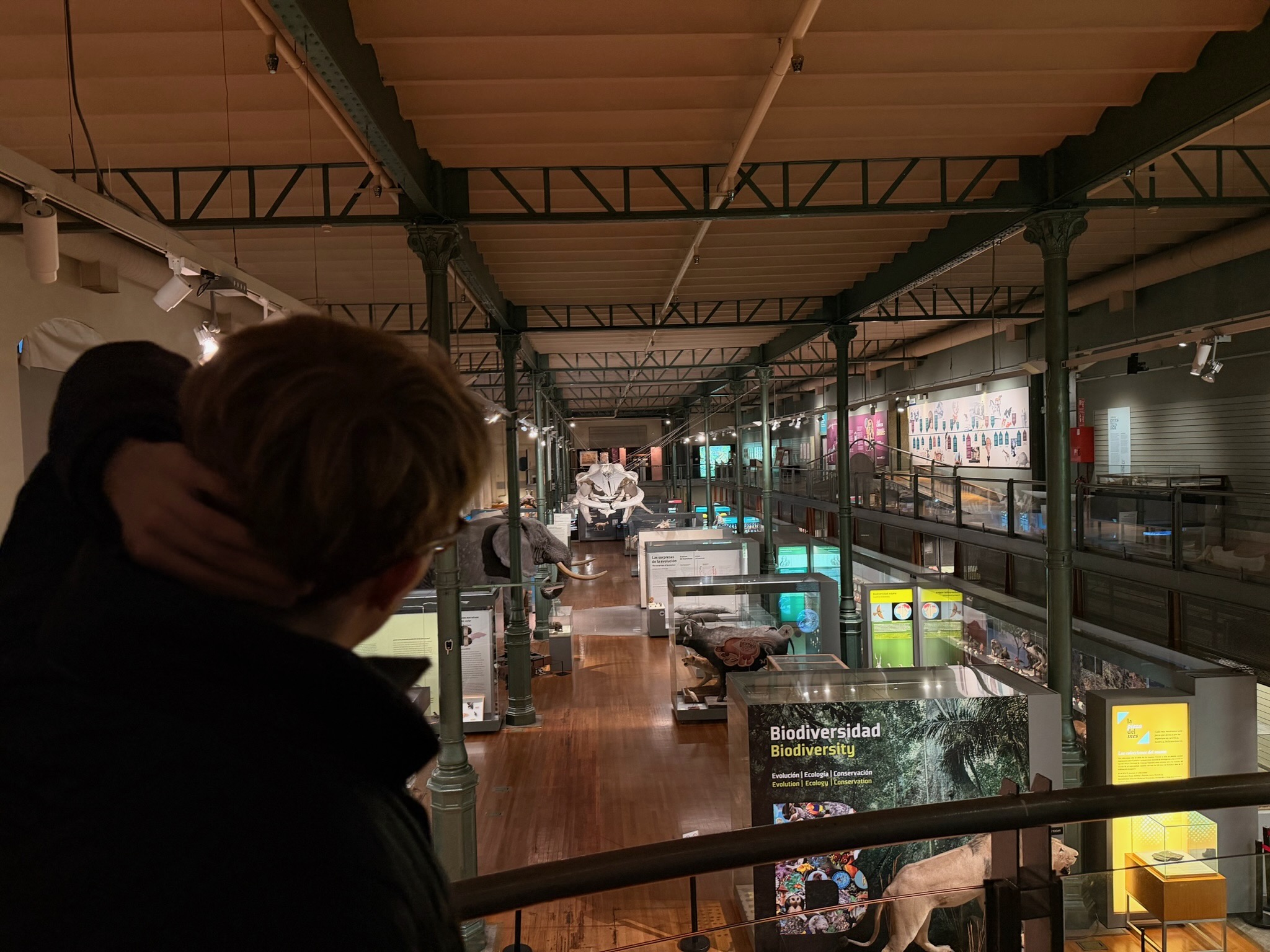 Looking out over the MNCN